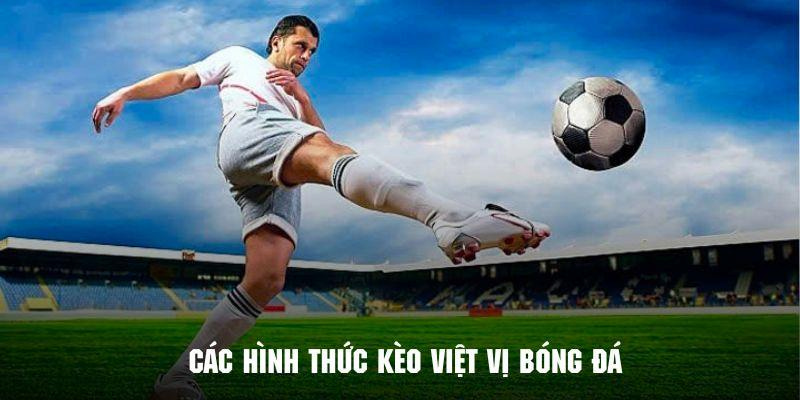 Các phân loại thành viên có thể lựa chọn khi chơi kèo này